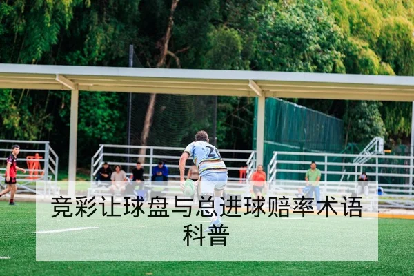 竞彩让球盘与总进球赔率术语科普