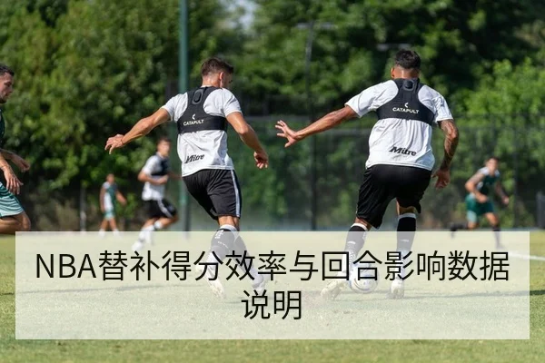 NBA替补得分效率与回合影响数据说明